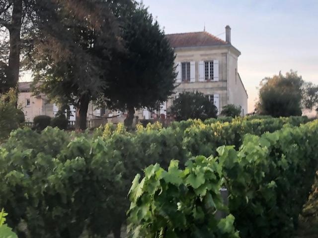 Chateau Couchebout Bed and Breakfast Pugnac Εξωτερικό φωτογραφία